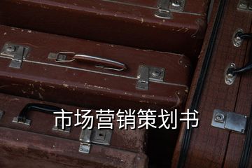 市场营销策划书