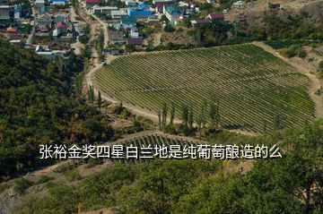 张裕金奖四星白兰地是纯葡萄酿造的么