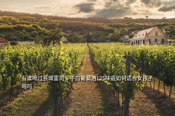 有谁喝过长城雷司令干白葡萄酒125味道如何适合女孩子喝吗