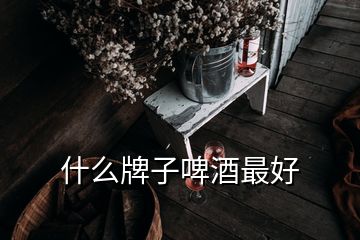 什么牌子啤酒最好