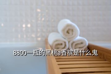 8800一瓶的黑桃a香槟是什么鬼