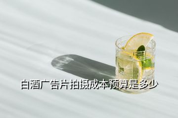 白酒广告片拍摄成本预算是多少