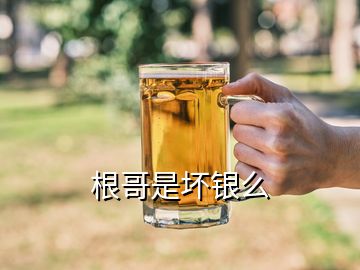 根哥是坏银么