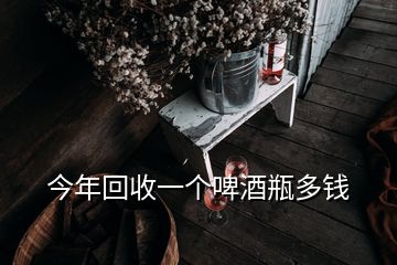 今年回收一个啤酒瓶多钱