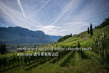 meritus vintage 2008 shiraz cabernet south australia 请专家看看这红