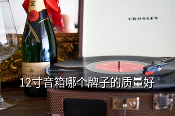 12寸音箱哪个牌子的质量好