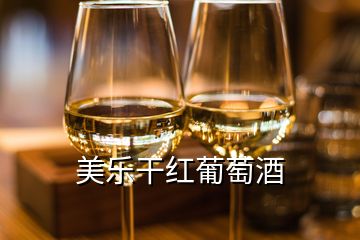 美乐干红葡萄酒