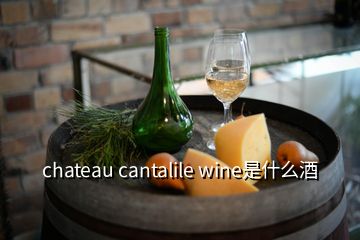 chateau cantalile wine是什么酒