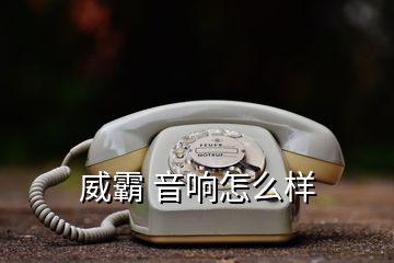 威霸 音响怎么样