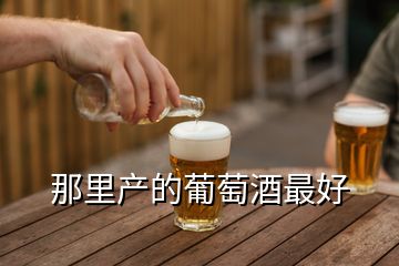 那里产的葡萄酒最好