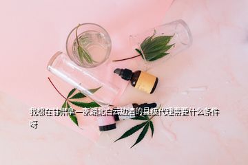 我想在甘肃拿一家湖北白云边酒的县级代理需要什么条件呀