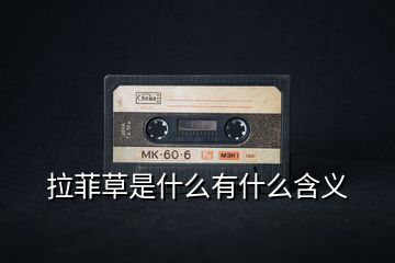 拉菲草是什么有什么含义