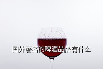 国外著名的啤酒品牌有什么