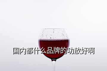 国内都什么品牌的功放好啊