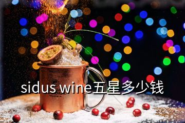 sidus wine五星多少钱