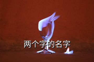 两个字的名字