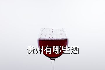 贵州有哪些酒