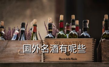 国外名酒有呢些