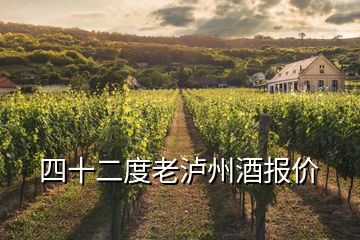 四十二度老泸州酒报价