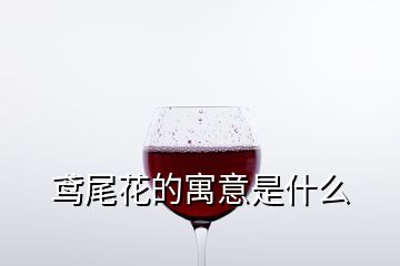 鸢尾花的寓意是什么