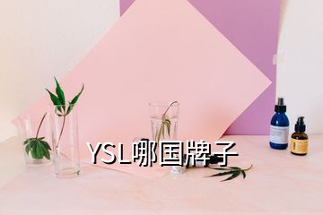 YSL哪国牌子