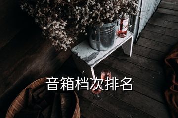 音箱档次排名