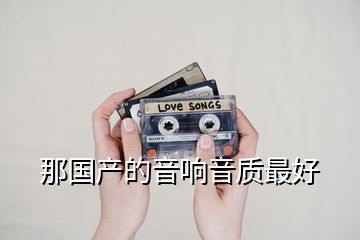 那国产的音响音质最好