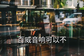 百威音响可以不