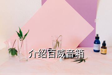 介绍百威音箱