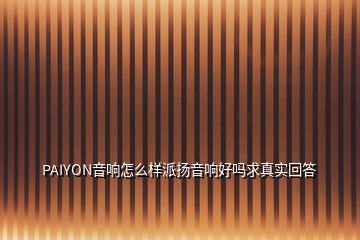 PAIYON音响怎么样派扬音响好吗求真实回答