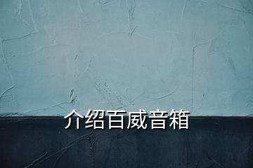 介绍百威音箱