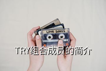 TRY组合成员的简介