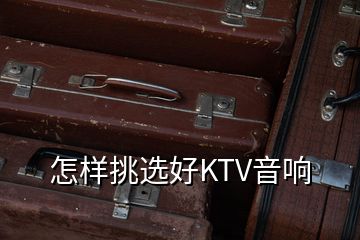 怎样挑选好KTV音响