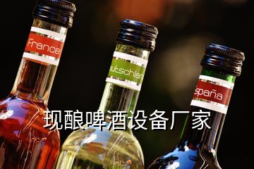 现酿啤酒设备厂家