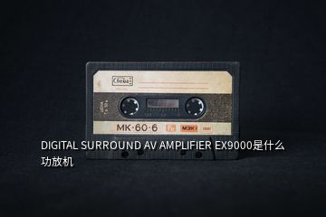 DIGITAL SURROUND AV AMPLIFIER EX9000是什么功放机