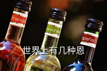 世界上有几种恩