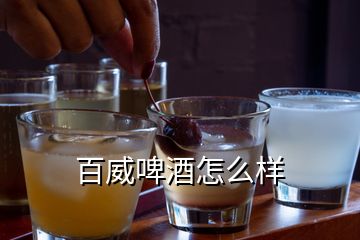 百威啤酒怎么样