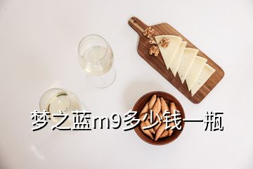 梦之蓝m9多少钱一瓶