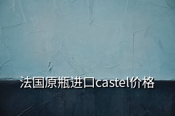 法国原瓶进口castel价格