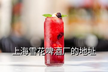 上海雪花啤酒厂的地址