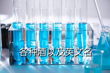 各种酒以及英文名