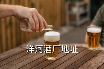 洋河酒厂地址