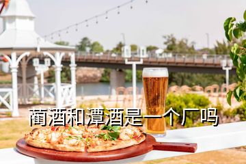 蔺酒和潭酒是一个厂吗