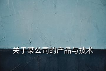 关于某公司的产品与技术