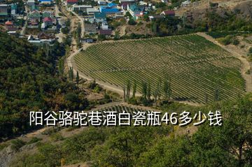 阳谷骆驼巷酒白瓷瓶46多少钱