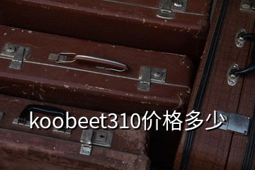 koobeet310价格多少