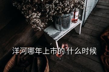 洋河哪年上市的 什么时候