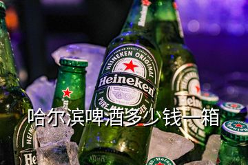 哈尔滨啤酒多少钱一箱