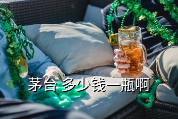 茅台 多少钱一瓶啊