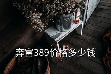 奔富389价格多少钱